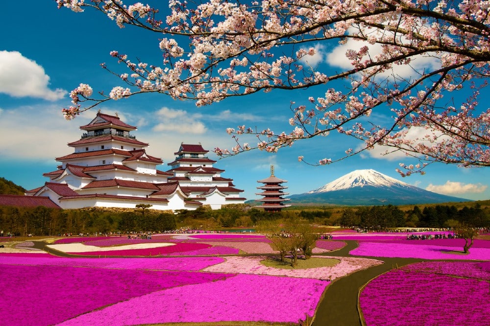 anex tour rusya japonya turları